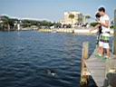 GCO goes to Destin July 4th (241).JPG
